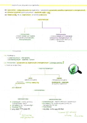 Know Autotrofizm - fotosynteza - metabolizm thumbnail