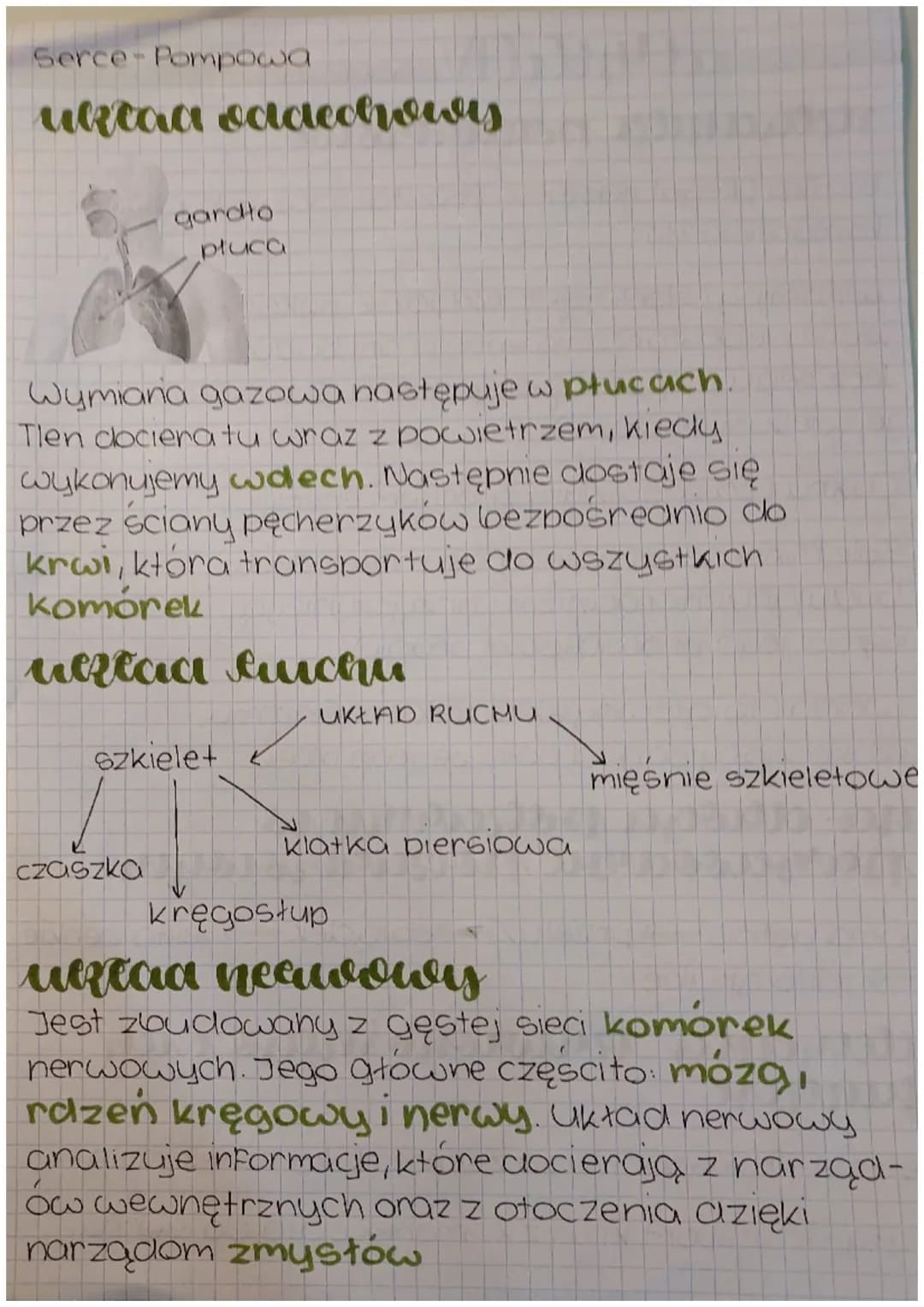 cUiN
Przyroda
sketaanieri porraamowe
Biatka (Regulujace isą podstawowym budulcem
komórek ciatal
Witaminy (eleelają to składniki pokarmowe,
k