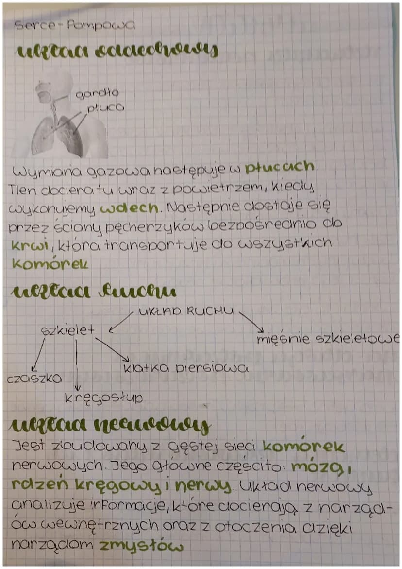 cUiN
Przyroda
sketaanieri porraamowe
Biatka (Regulujace isą podstawowym budulcem
komórek ciatal
Witaminy (eleelają to składniki pokarmowe,
k