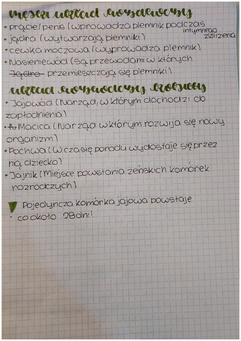 cUiN
Przyroda
sketaanieri porraamowe
Biatka (Regulujace isą podstawowym budulcem
komórek ciatal
Witaminy (eleelają to składniki pokarmowe,
k