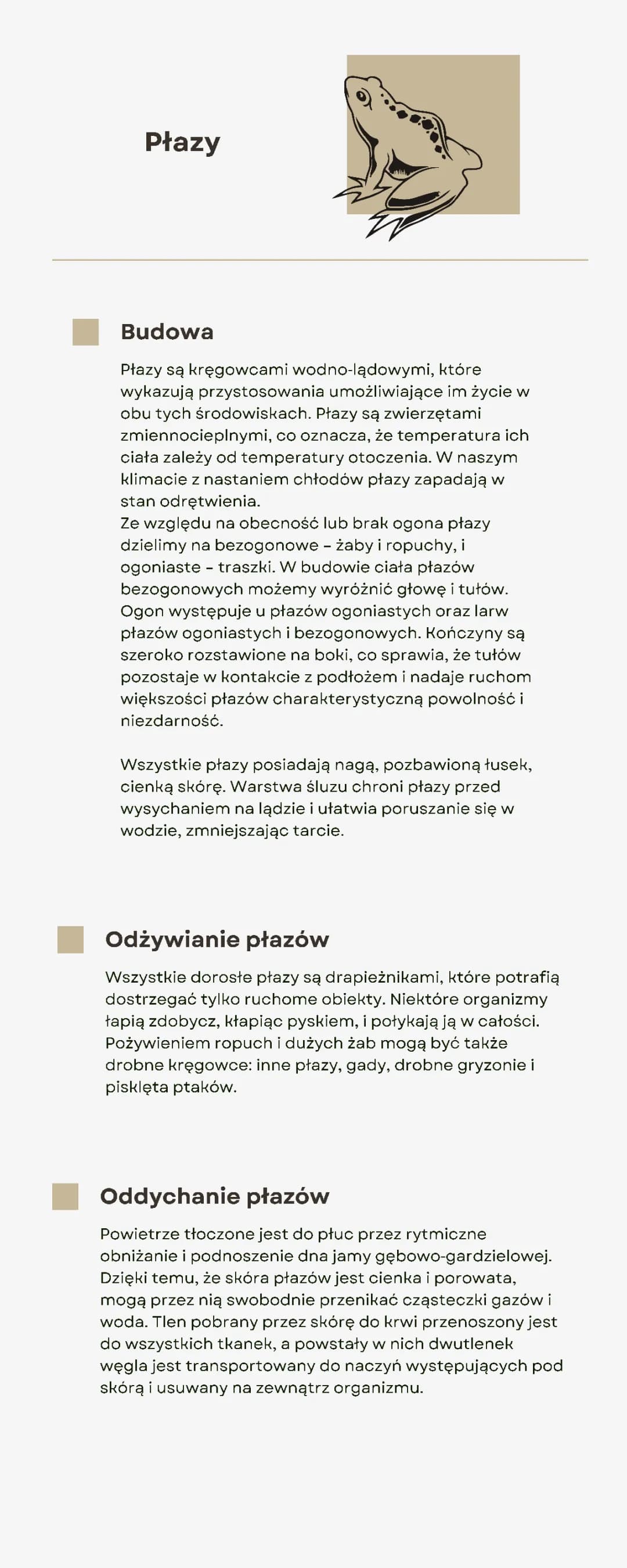 Płazy