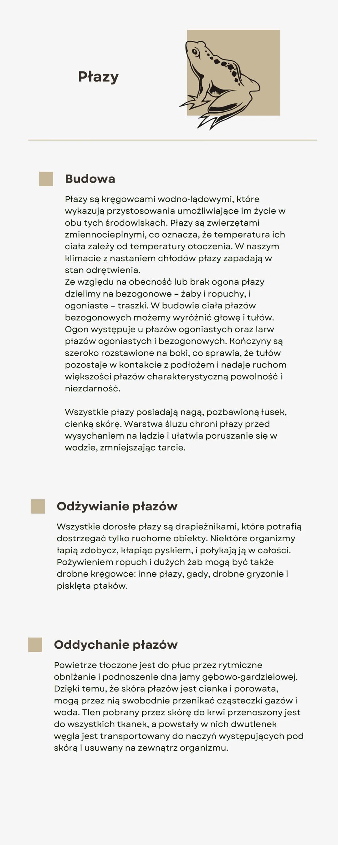 Płazy
Budowa
Płazy są kręgowcami wodno-lądowymi, które
wykazują przystosowania umożliwiające im życie w
obu tych środowiskach. Płazy są zwie