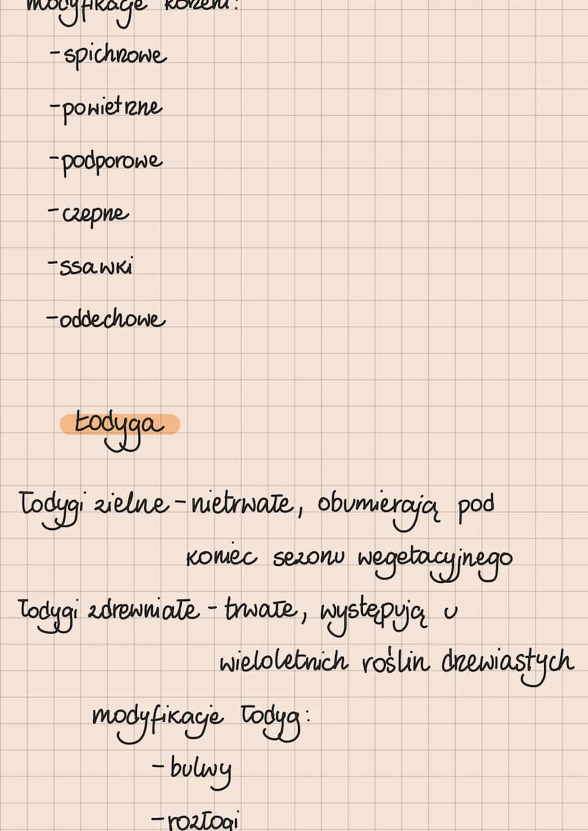 ROŚLINY PIERWOTNIE WODNE
1. Zielenice
zdolność ruchu
-mają
-mogą występować w ráznych
formach morfologicznych
- występują głównie
w środowis