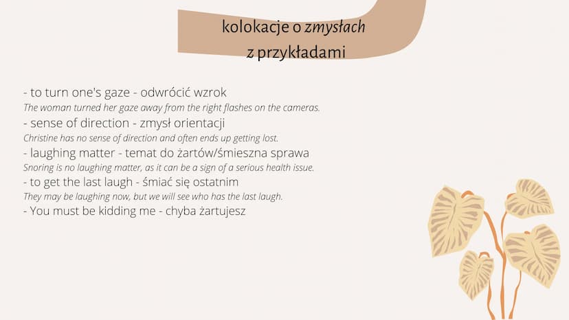 Najważniejsze kolokacje
w języku angielskim PLAN PREZENTACJI
1. Czym są kolokacje?
2. kolokacje z czasownikiem have
3. ,, do
4. ,, make
5. ,