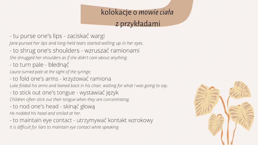 Najważniejsze kolokacje
w języku angielskim PLAN PREZENTACJI
1. Czym są kolokacje?
2. kolokacje z czasownikiem have
3. ,, do
4. ,, make
5. ,