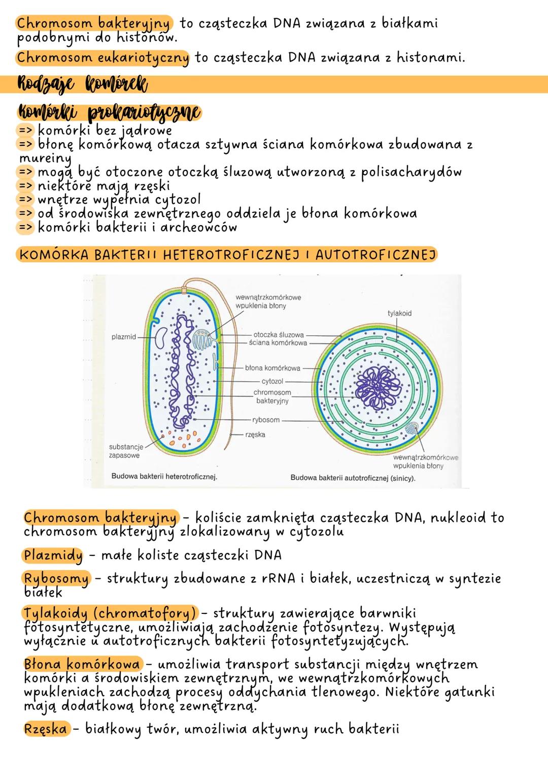 # KOMÓRKA

Komórka to podstawowa jednostka budulcowa i funkcjonalna organizmu,
która jest zdolna do wykonywania czynności życiowych.

## poz
