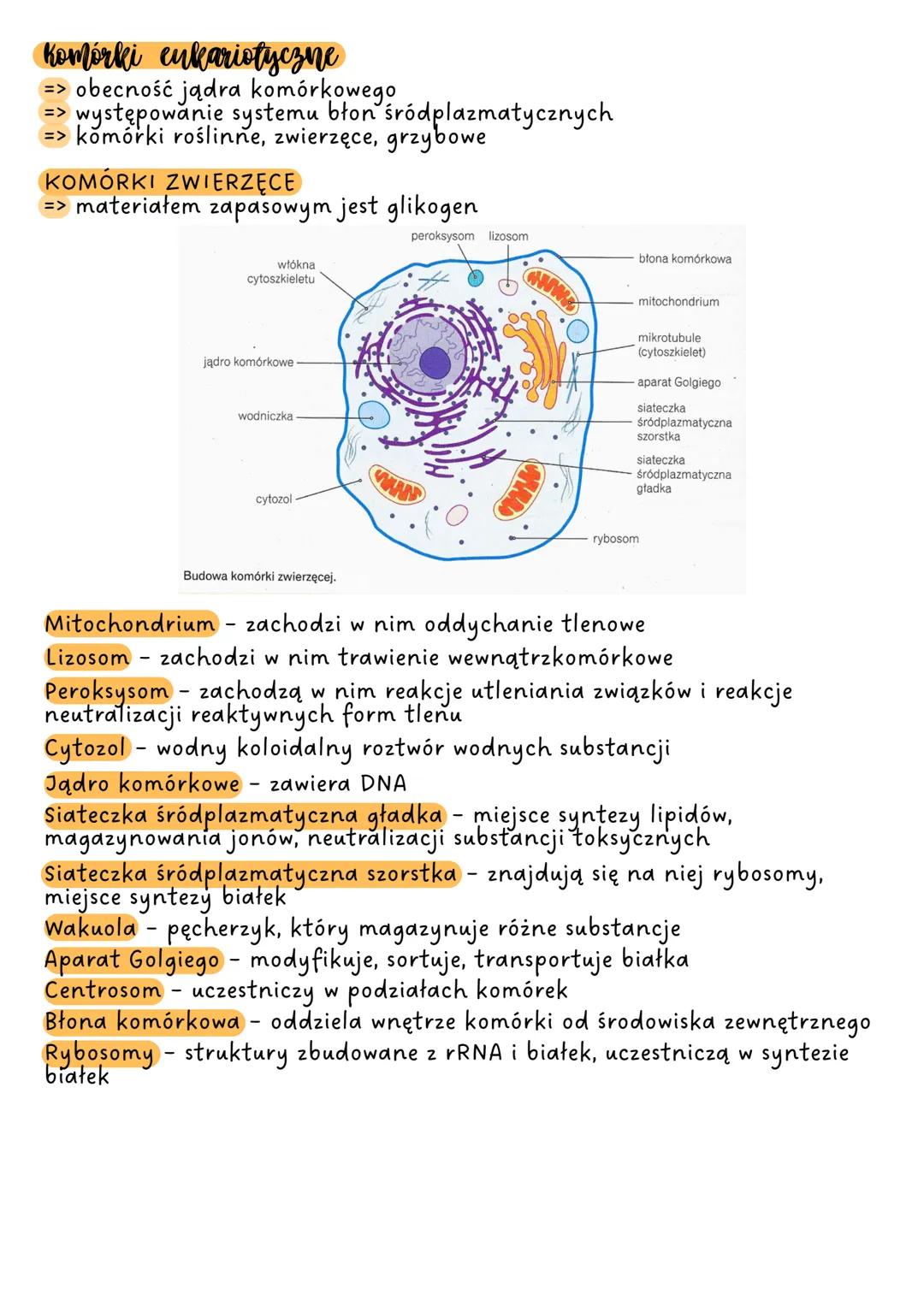# KOMÓRKA

Komórka to podstawowa jednostka budulcowa i funkcjonalna organizmu,
która jest zdolna do wykonywania czynności życiowych.

## poz