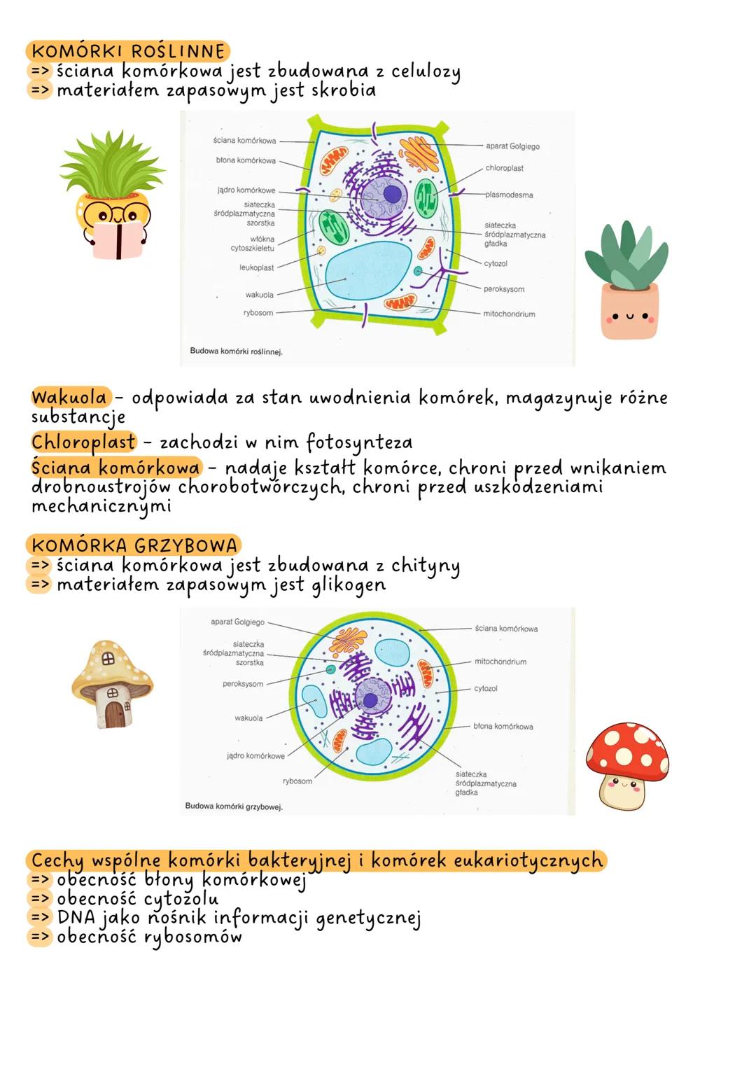# KOMÓRKA

Komórka to podstawowa jednostka budulcowa i funkcjonalna organizmu,
która jest zdolna do wykonywania czynności życiowych.

## poz