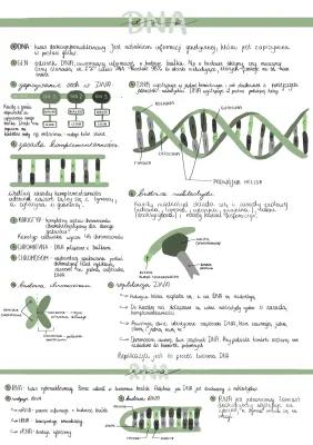 Know DNA i RNA thumbnail