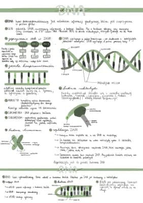 Know DNA i RNA thumbnail