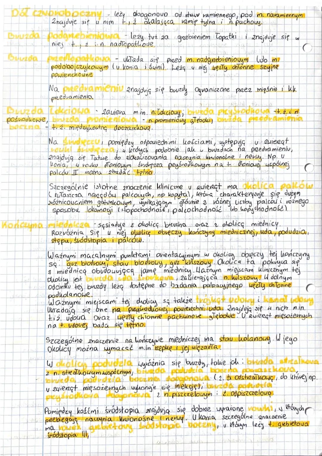 C
¿ dilue colo
Polo vienot
Mend
Części okolice ciała Quienat opisuje anatomia, topograficz
Jej celem jest nauczenie widzenia przestrzennego 