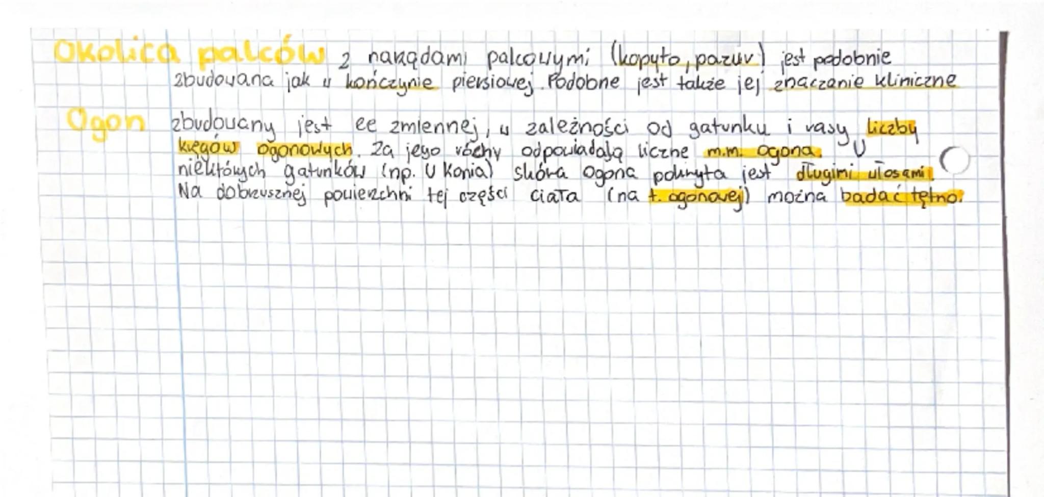 C
¿ dilue colo
Polo vienot
Mend
Części okolice ciała Quienat opisuje anatomia, topograficz
Jej celem jest nauczenie widzenia przestrzennego 