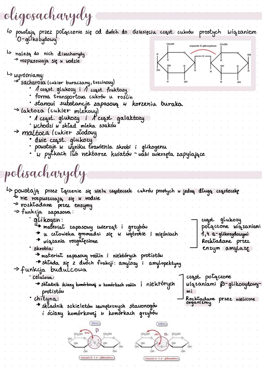 L2budowane
L> powstają w procesie fotosyntezy
↳ podział - monosacharydy, oligosacharydy i polisacharydy
ما
monosacharydy
↳₂ dobrze rozpuszcz