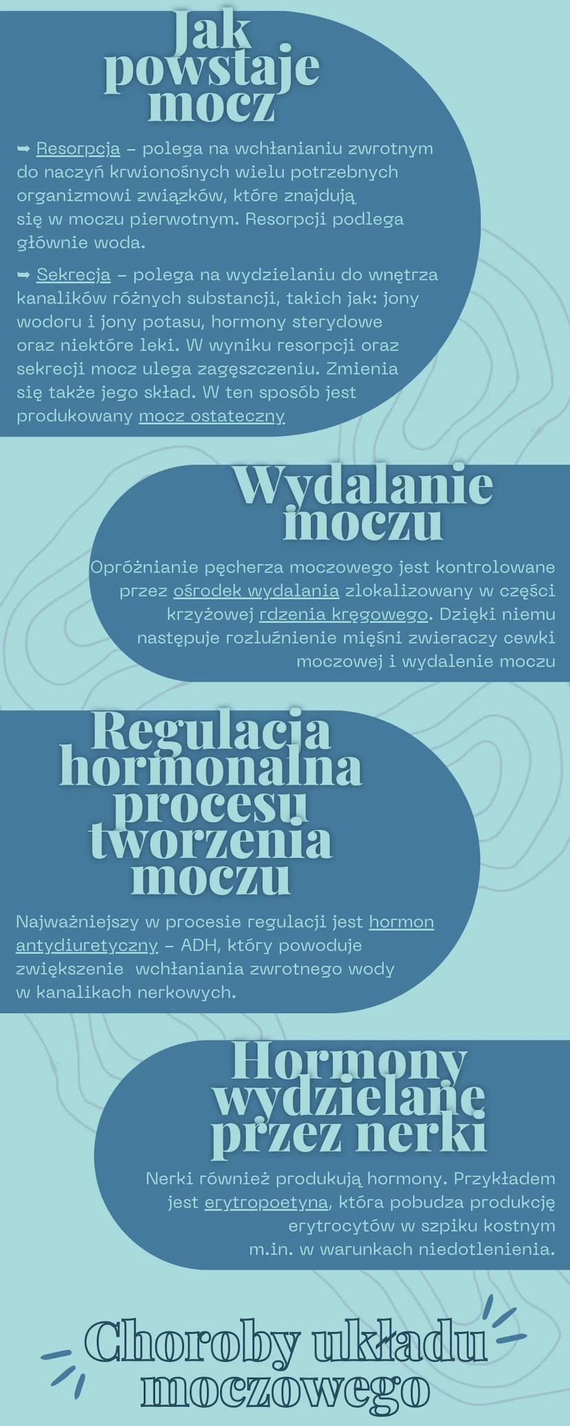 Układ moczow
Funkcje
ukladu
moczowego
495
Do głównych funkcji układu moczowego należą:
➡ wydalanie – usuwanie zbędnych
i szkodliwych produkt