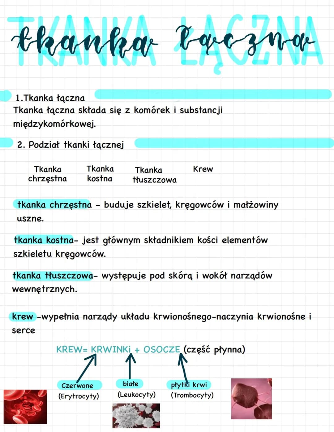 Tkanka Łączna kl.6