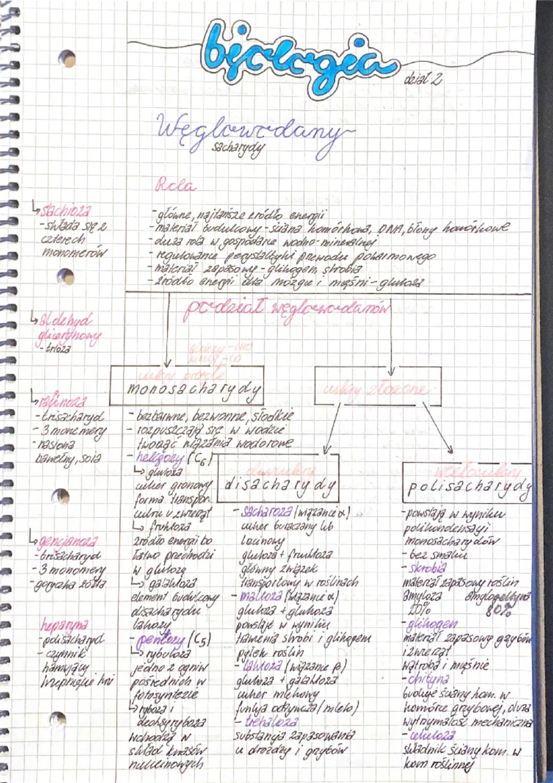 stachioza
-shłada się
czterech
monomerow
↳oldehyd
glicerynowy
trioza
alineaa
-trisacharyd
- 3 mone mery
-nasiona
baweling, sola
↳gencjancra
