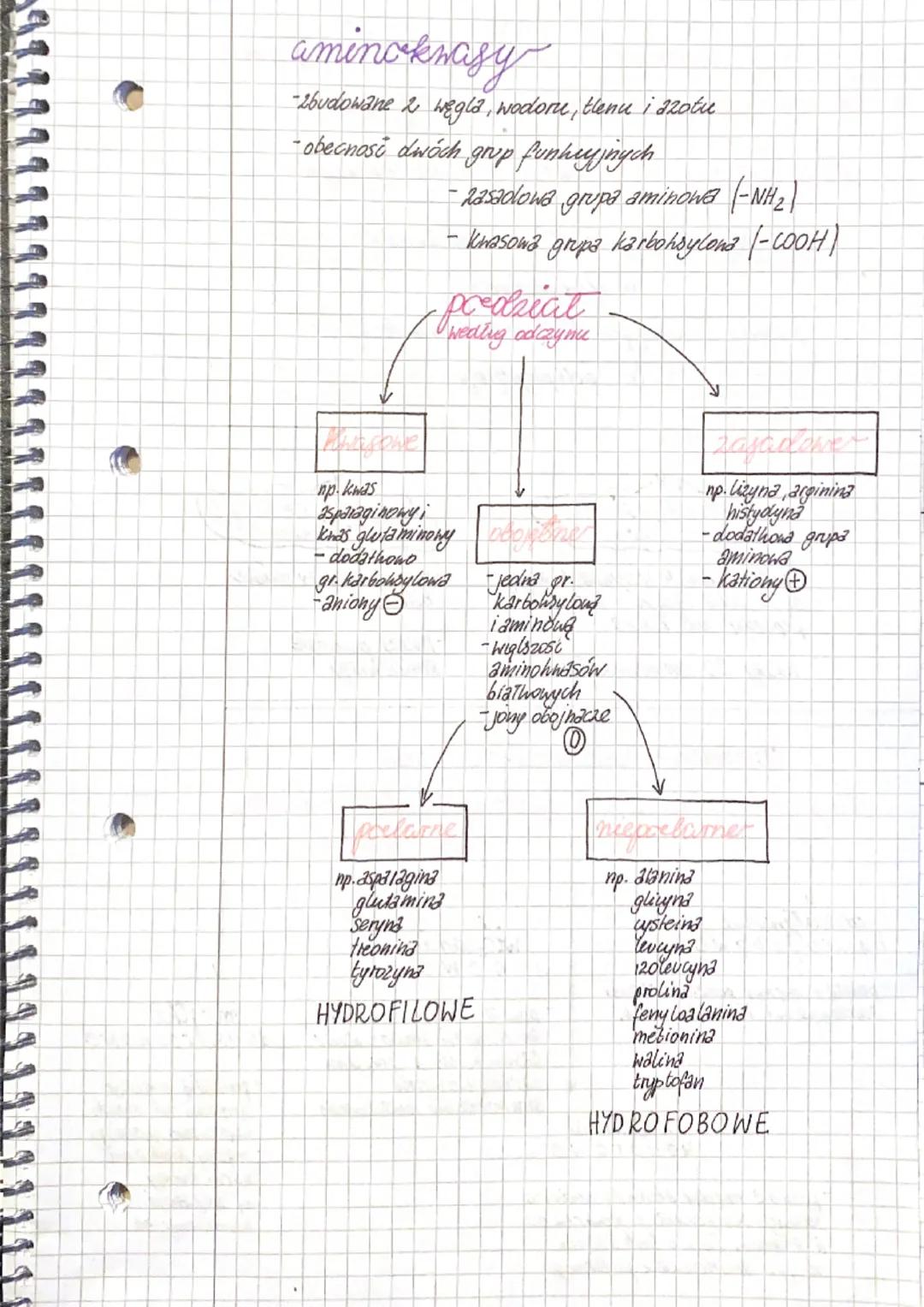 stachioza
-shłada się
czterech
monomerow
↳oldehyd
glicerynowy
trioza
alineaa
-trisacharyd
- 3 mone mery
-nasiona
baweling, sola
↳gencjancra

