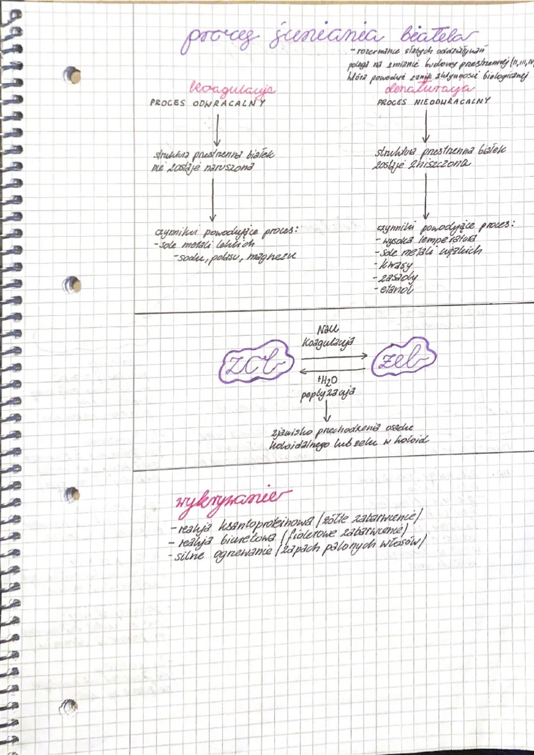 stachioza
-shłada się
czterech
monomerow
↳oldehyd
glicerynowy
trioza
alineaa
-trisacharyd
- 3 mone mery
-nasiona
baweling, sola
↳gencjancra
