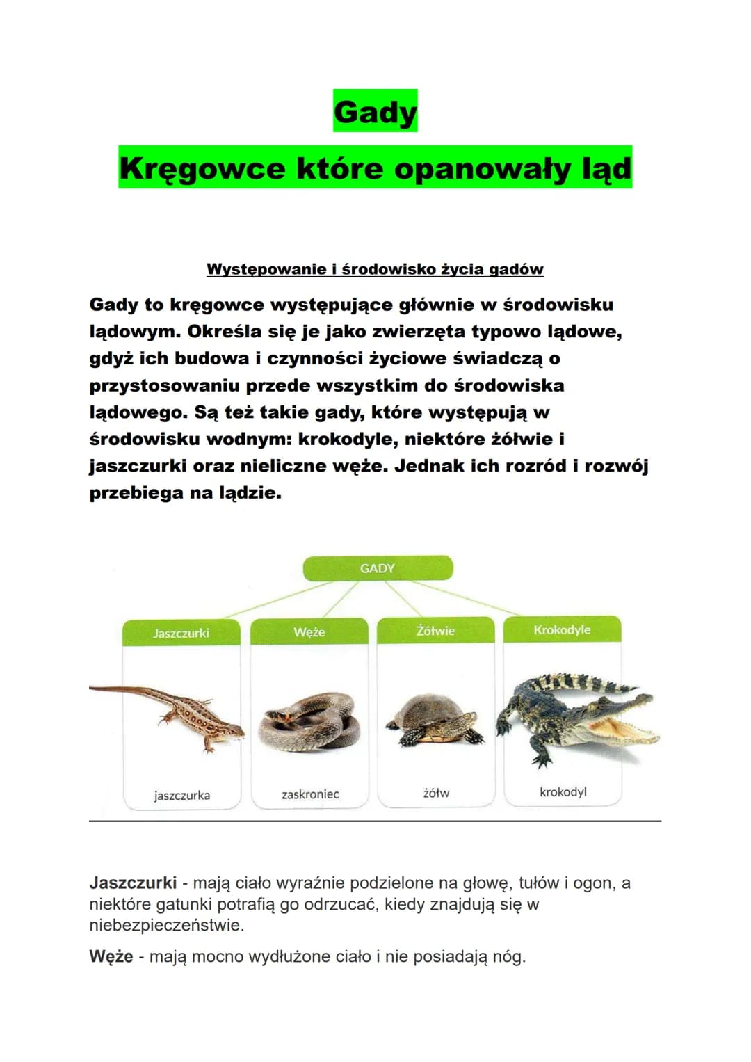 Gady
Kręgowce które opanowały ląd
Występowanie i środowisko życia gadów
Gady to kręgowce występujące głównie w środowisku
lądowym. Określa s