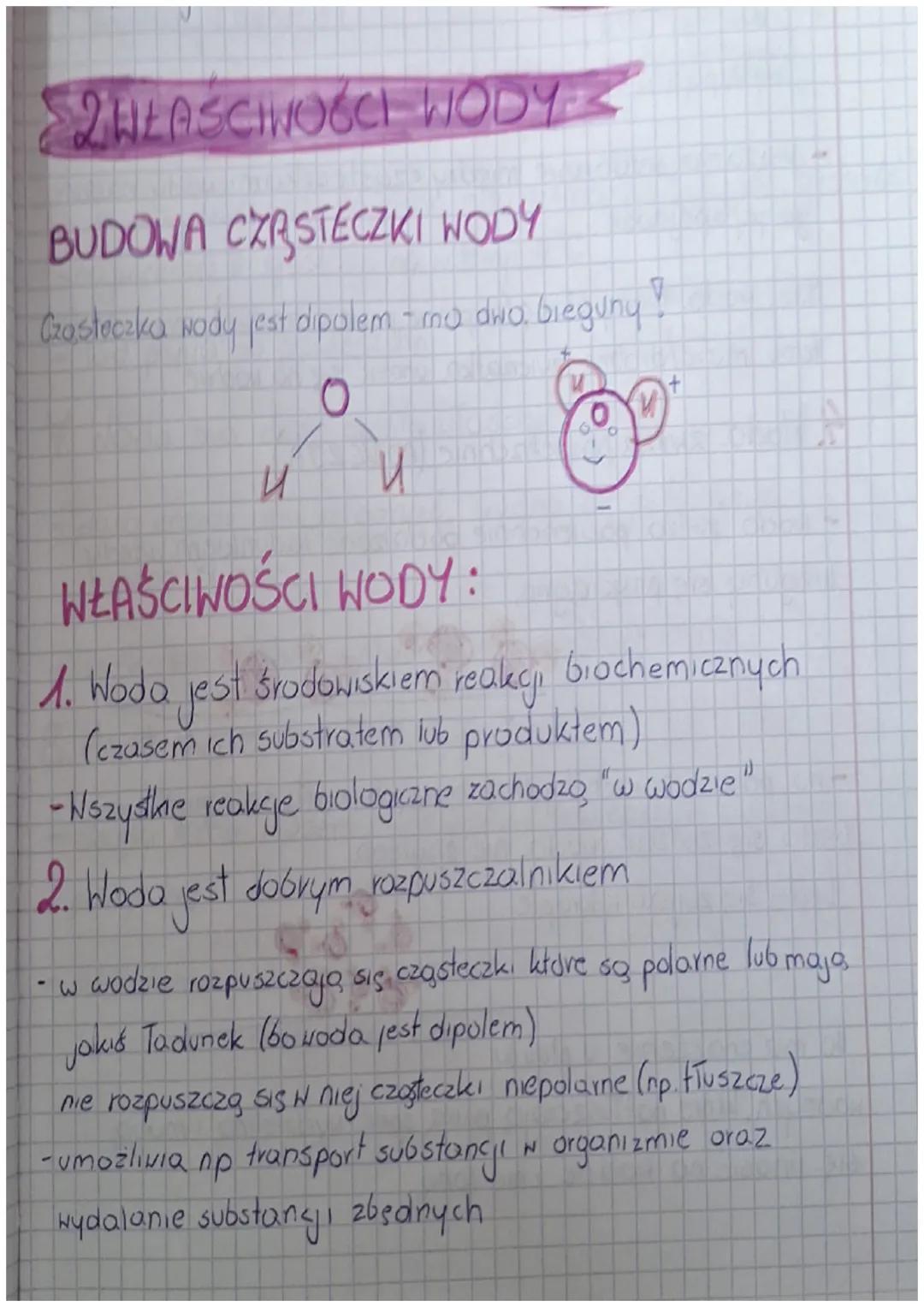 # QWEAŚCIWOŚCI WODY

# BUDOWA CZRSTECZKI WODY

Cząsteczka wody jest dipolem - ma dwa bieguny!

И

WŁAŚCIWOŚCI WODY :

+

1. Woda jest środow