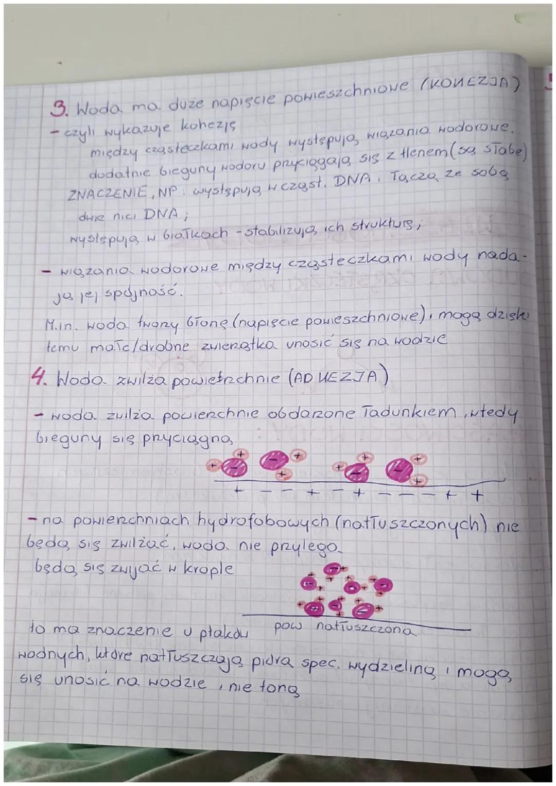 # QWEAŚCIWOŚCI WODY

# BUDOWA CZRSTECZKI WODY

Cząsteczka wody jest dipolem - ma dwa bieguny!

И

WŁAŚCIWOŚCI WODY :

+

1. Woda jest środow
