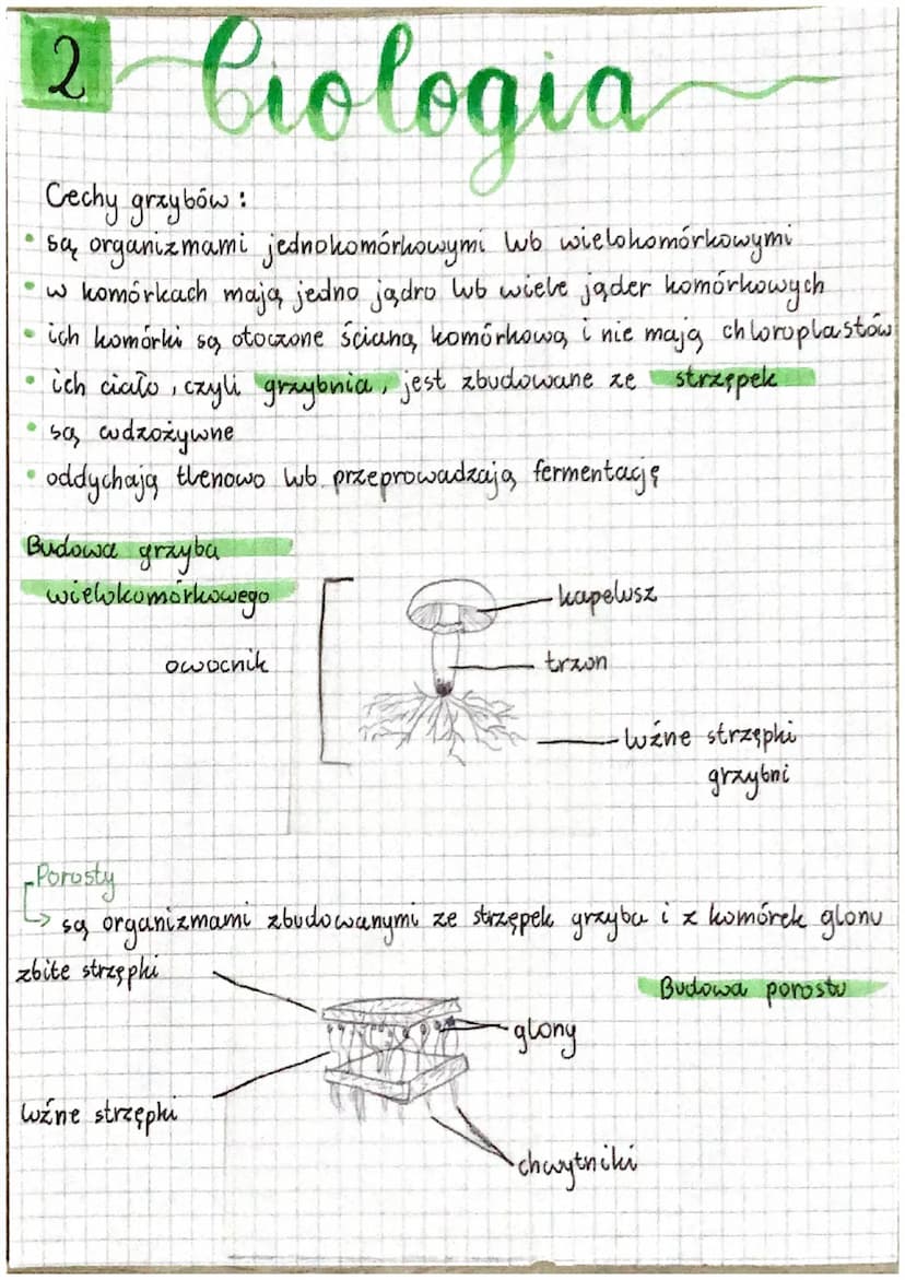 4 Ciologia
1
Systematyka
to dziedzina biologii, której zadanie jest opisywanie,
nazywanie, a także klasyfikowanie organizmów.
KRÓLESTWO
•
ba
