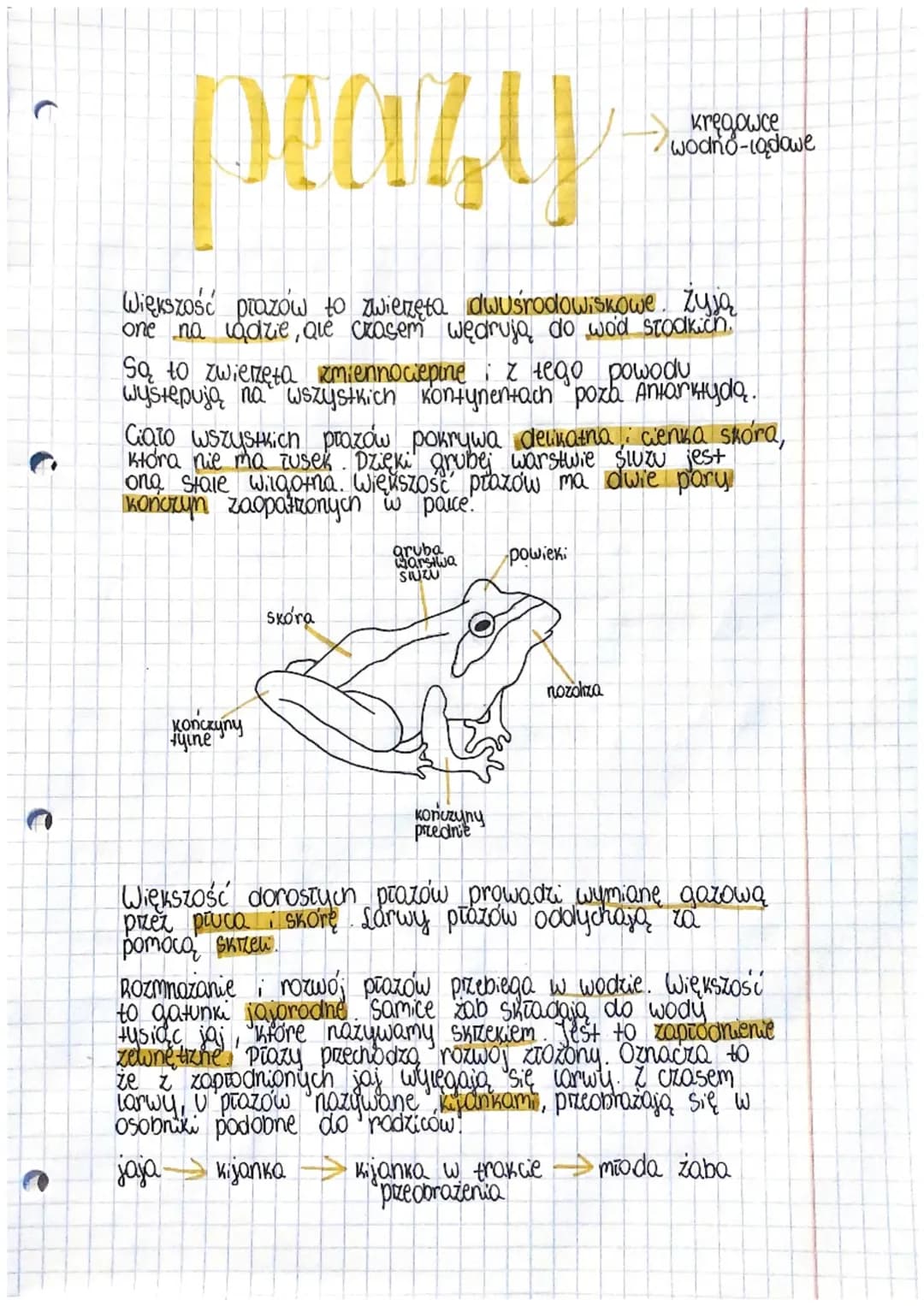 płazy — klasa 6