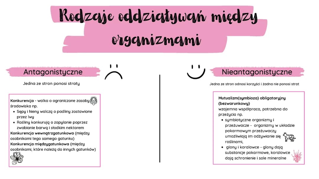 Rodzaje oddziaływań między organizmami