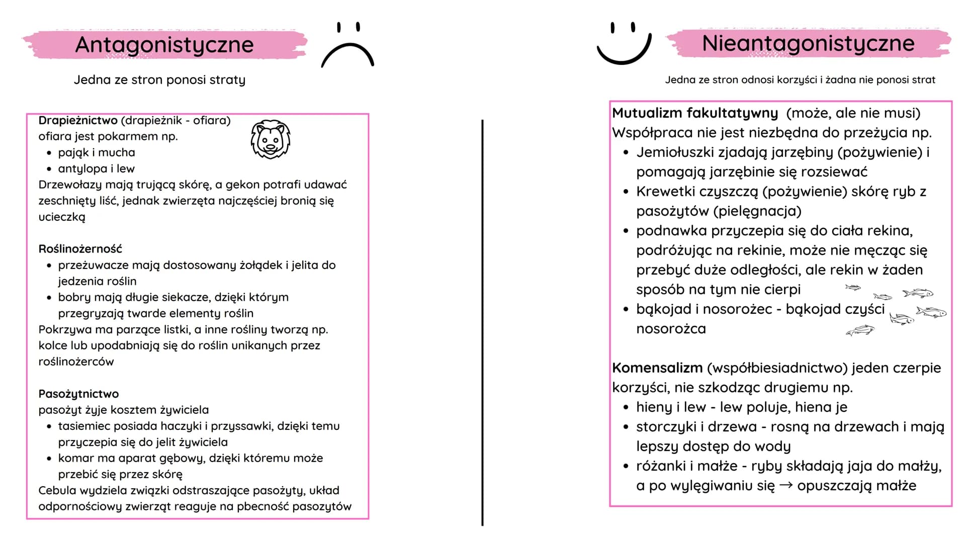 ●
Rodzaje oddziaływań między
organizmami
Konkurencja - walka o ograniczone zasoby
środowiska np.
Sępy i hieny walczą o padliny zostawione
pr