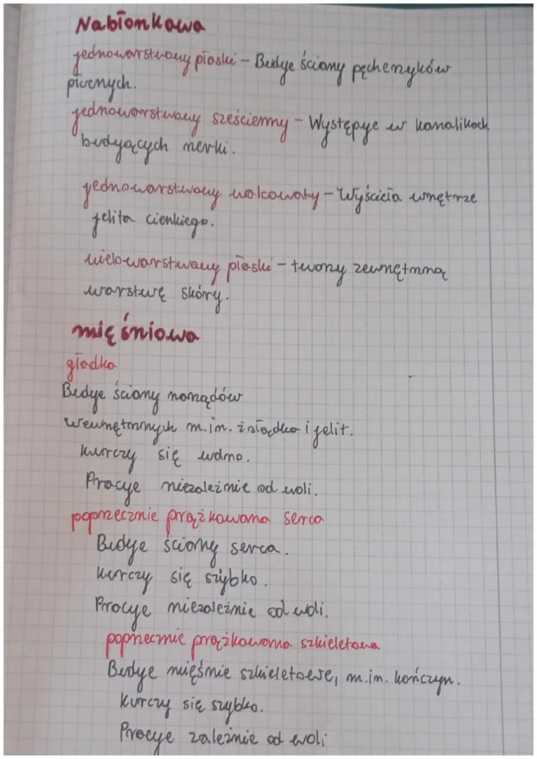 I
Wspólne Cechy zwierząt
- so, organizmami wielokomórkouymi
ich komórke mają jądro komórkowe
zawierają chloroplastów once
nie
Są organizmami