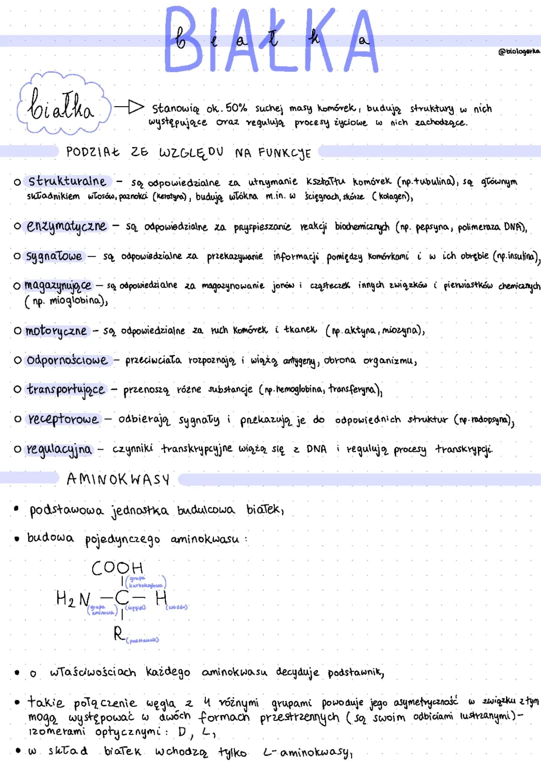 Funkcje białek w organizmie: Czym są białka i ich rodzaje?