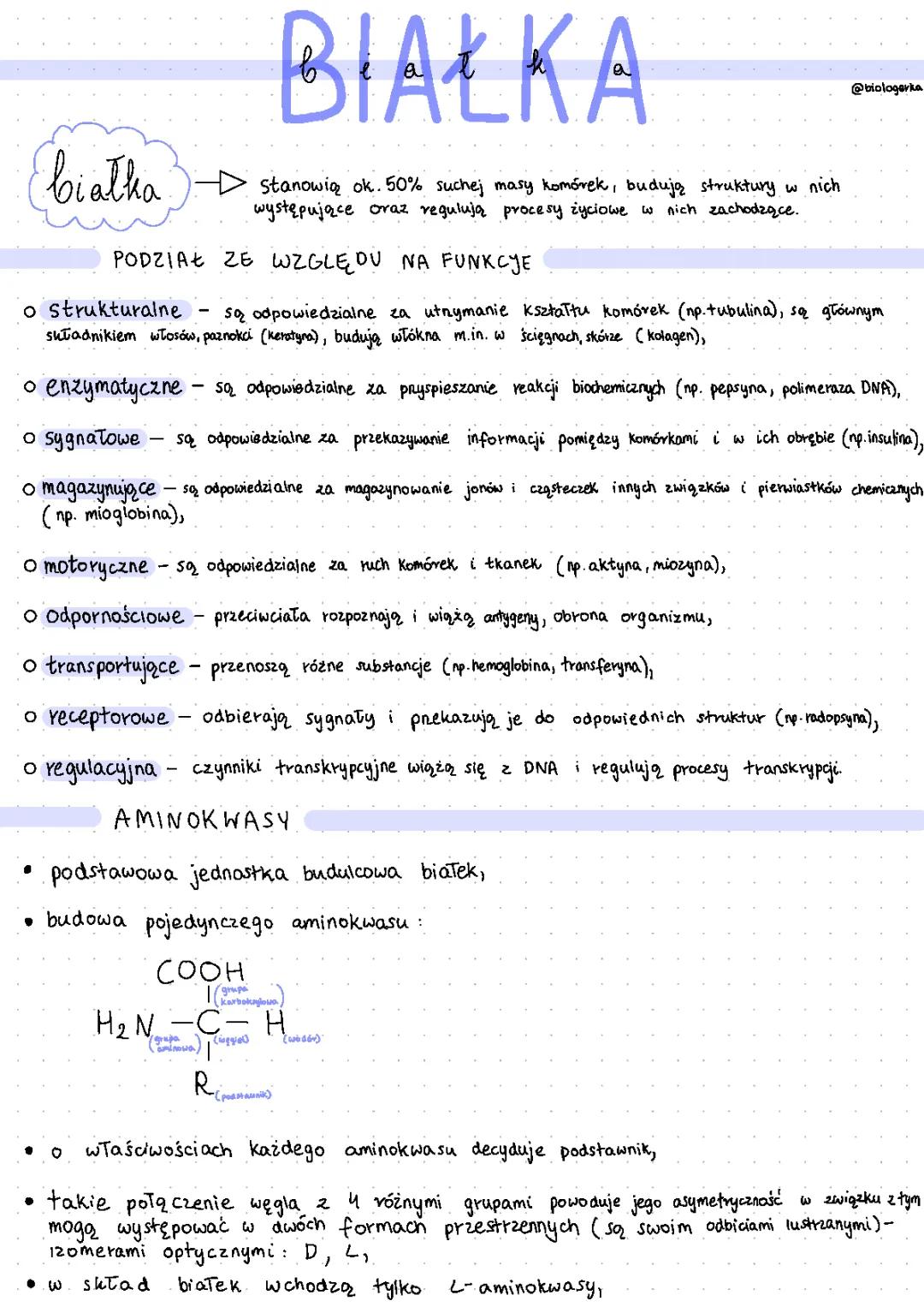 Funkcje białek w organizmie: Czym są białka i ich rodzaje?