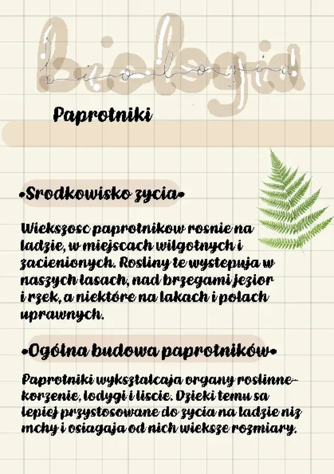 Biologia- paprotniki 🌿