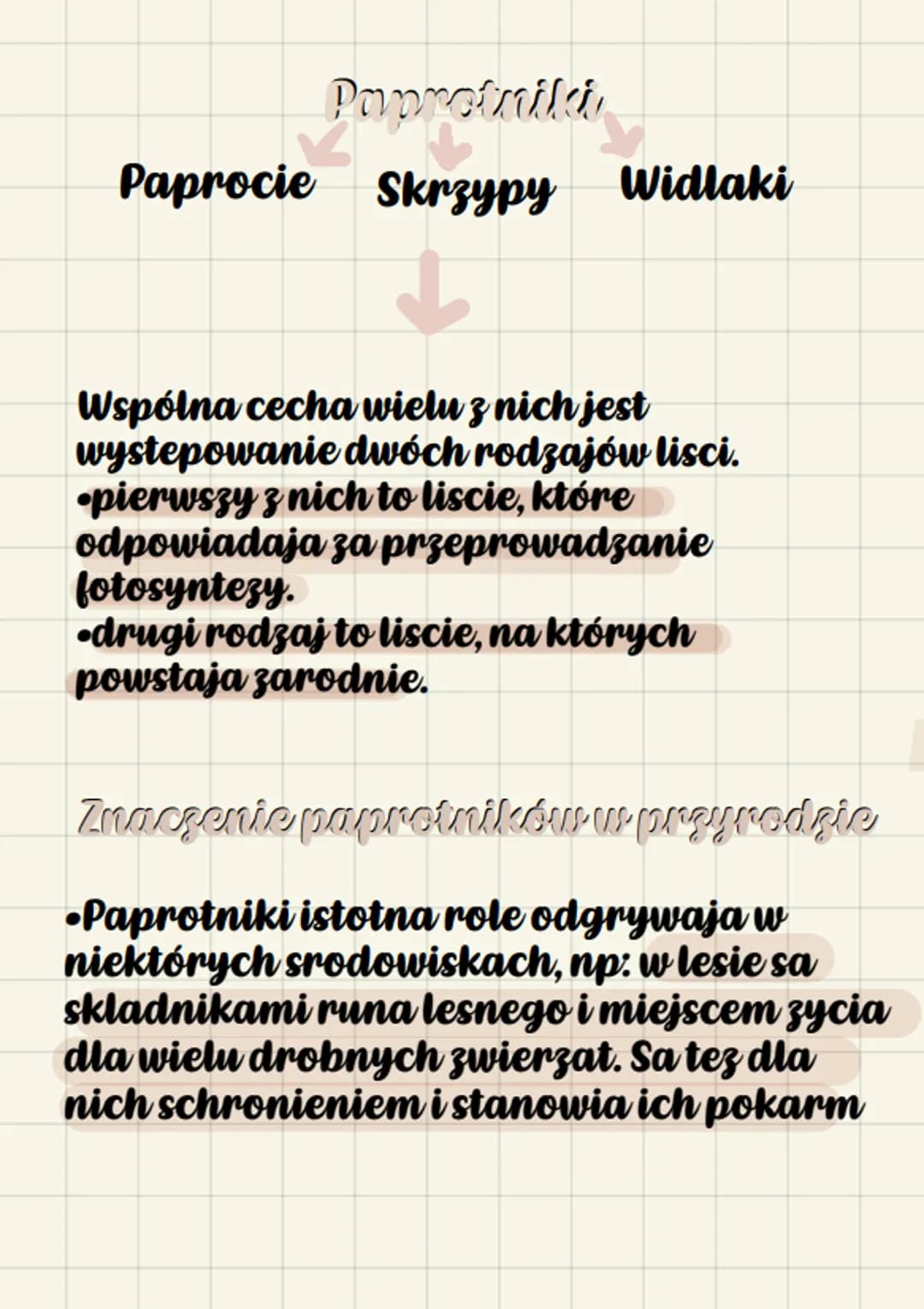biologue
Paprotniki
•Srodkowisko zycia.
Wiekszosc paprotnikow rosnie na
ladzie, w miejscach wilgotnych i
zacienionych. Rosliny te wystepuja 