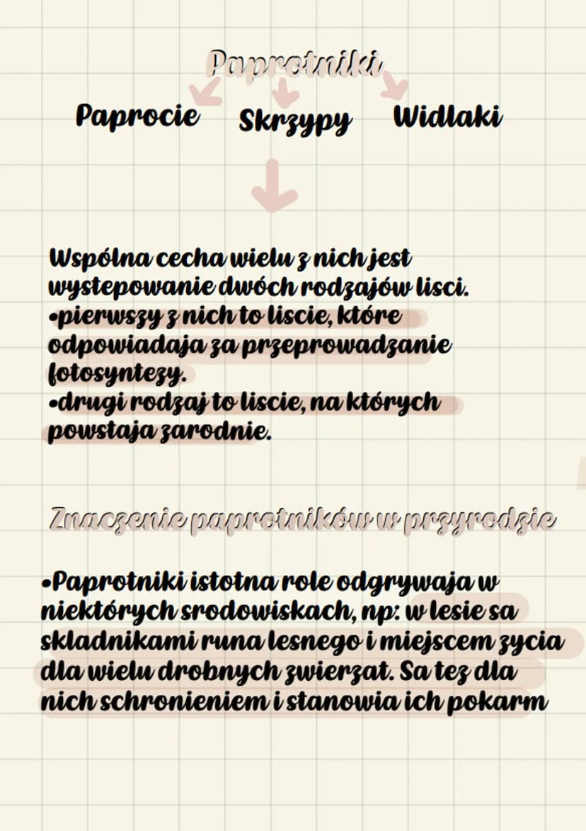 biologue
Paprotniki
•Srodkowisko zycia.
Wiekszosc paprotnikow rosnie na
ladzie, w miejscach wilgotnych i
zacienionych. Rosliny te wystepuja 