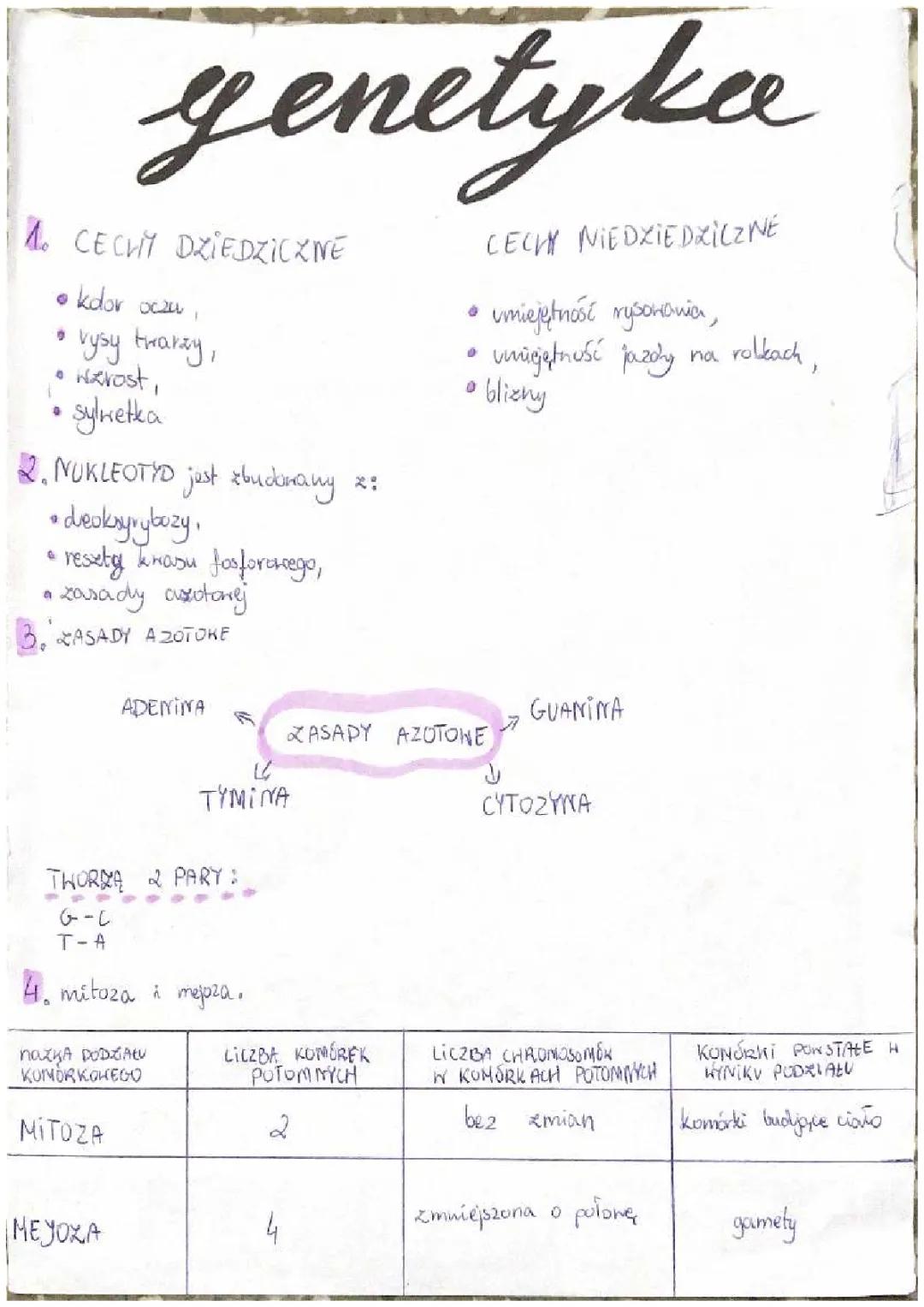 Genetyka - Biologia Klasa 8: DNA i Krzyżówki Genetyczne