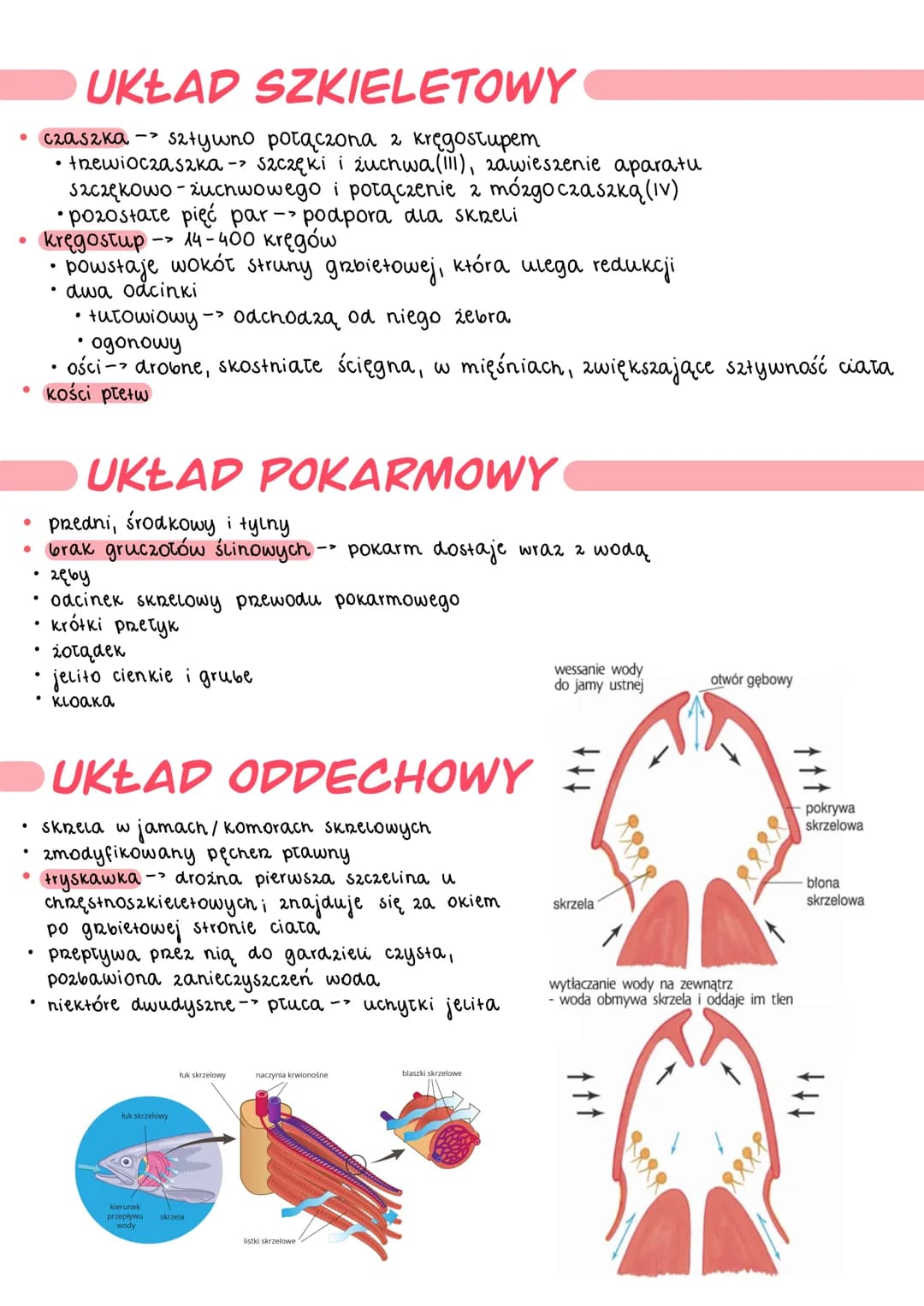 .
●
●
чуву
OGÓLNA BUDOWA
kształt ciała zależy od środowiska życia
.
u większości ciało jest bocznie spłaszczone o wrzecionowałym kształcie
t