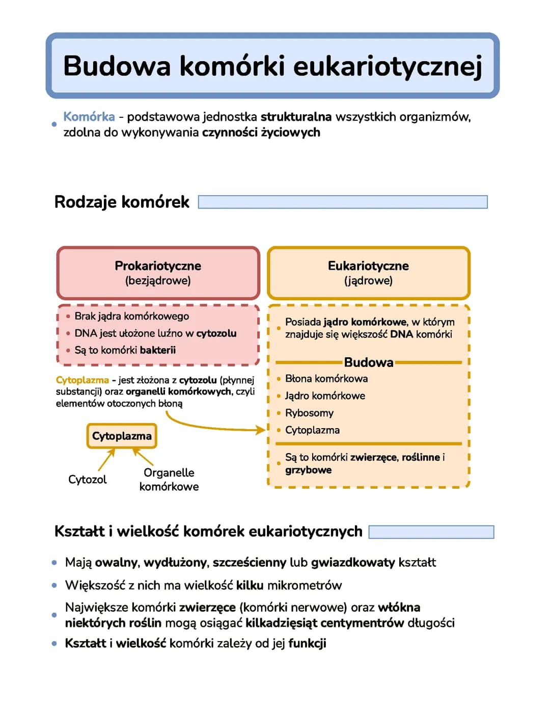 Budowa komórki eukariotycznej