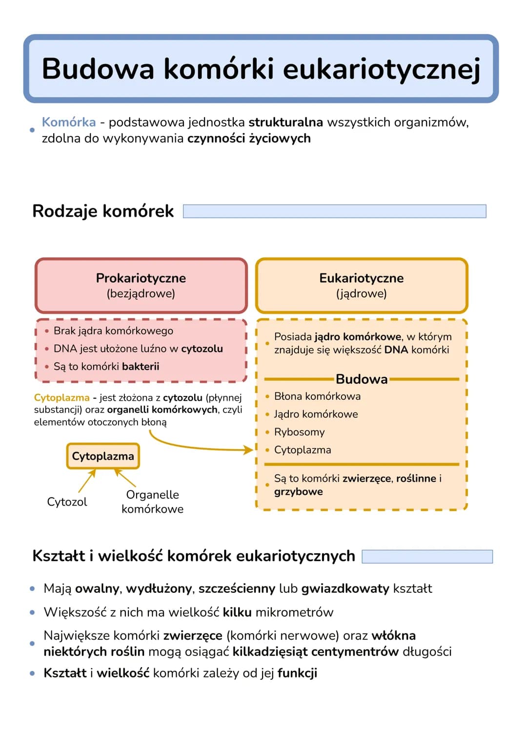 .
Budowa komórki eukariotycznej
Komórka - podstawowa jednostka strukturalna wszystkich organizmów,
zdolna do wykonywania czynności życiowych