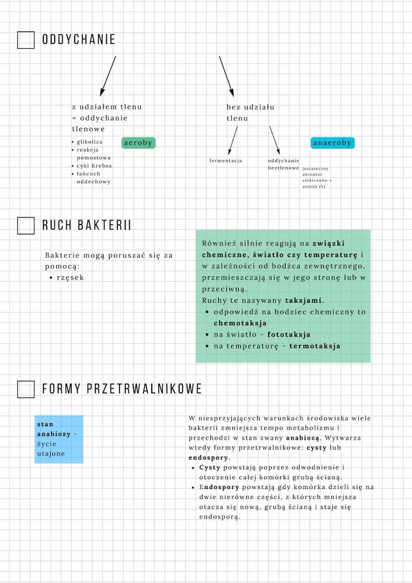 BAKTERIE
BIOLOGIA SPRAWDZIAN 3.10
BUDOWA BAKTERII
(1) otoczka śluzowa ) - nie wszystkie !
2) ściana komórkowa zbudowana z
peptydoglikanu [mu