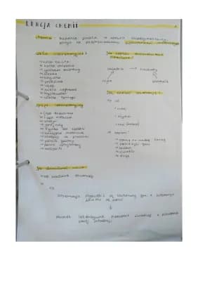 Know Lekcja chemii klasa 7 thumbnail