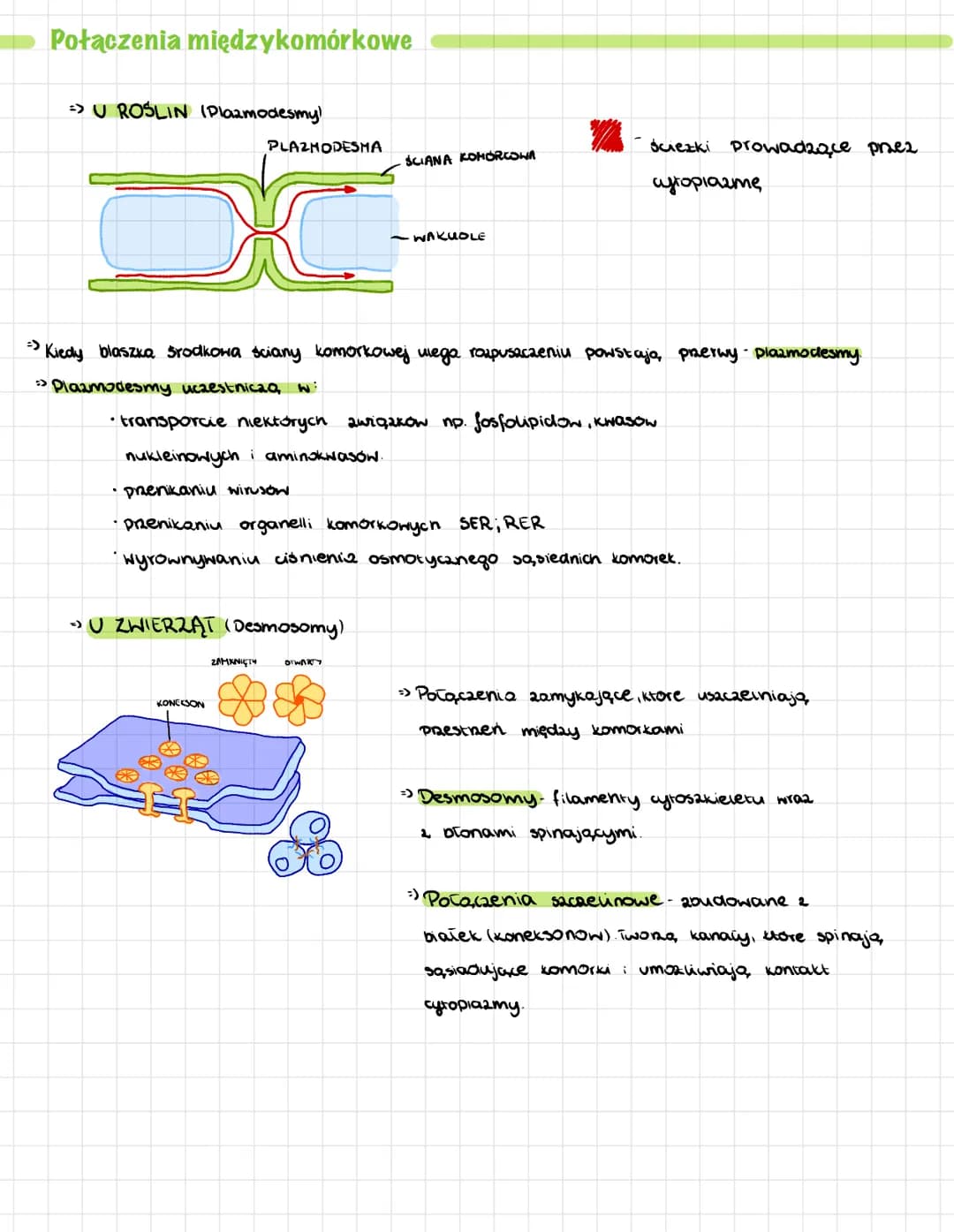 Ściana komórkowa
→ Stanowi zewnętring, warstwę komorek bakteri, graybow, rosun i niektorych provistów
→ FUNKCJE:
• nadaje komorce ksztalt
- 