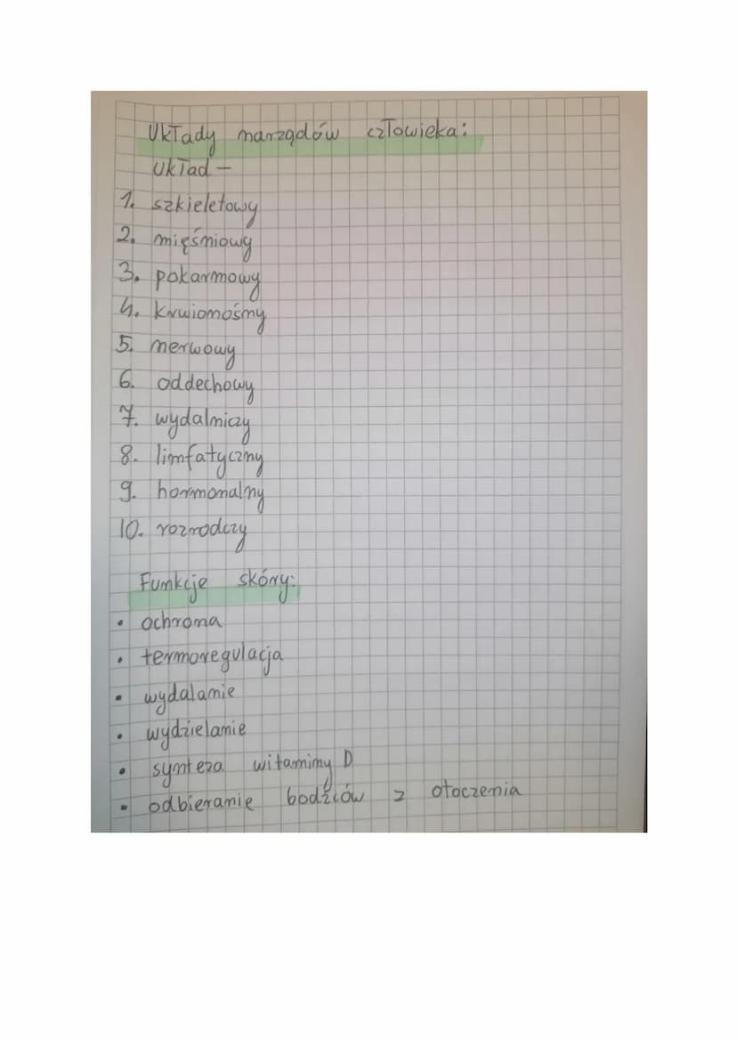 <h2 id="funkcjeskry">Funkcje skóry</h2>
<p>Skóra człowieka pełni wiele ważnych funkcji, które są niezbędne dla prawidłowego funkcjonowania o