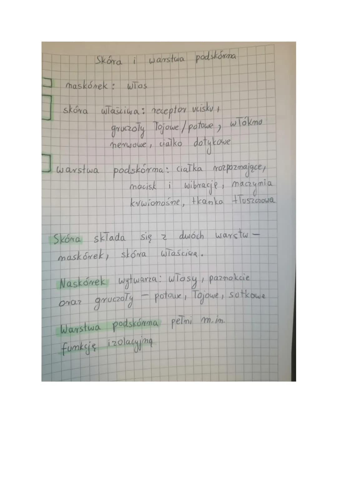 <h2 id="funkcjeskry">Funkcje skóry</h2>
<p>Skóra człowieka pełni wiele ważnych funkcji, które są niezbędne dla prawidłowego funkcjonowania o