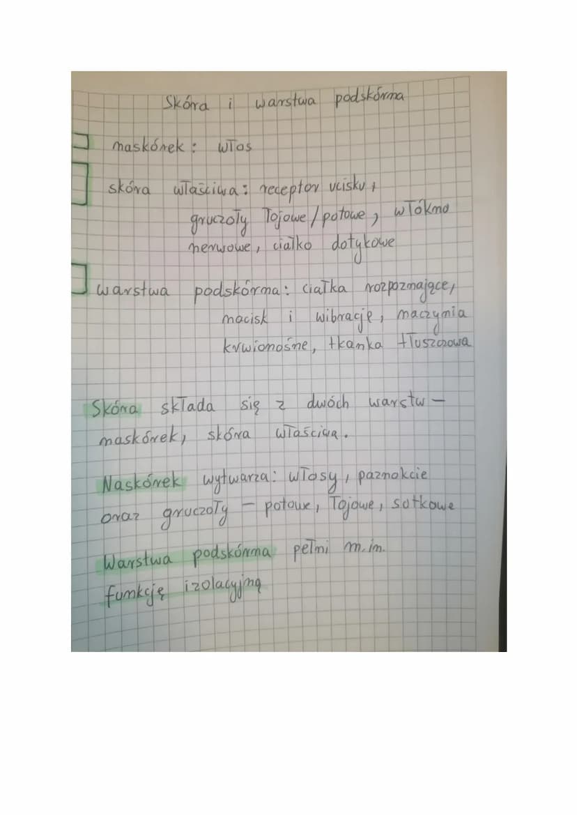 <h2 id="funkcjeskry">Funkcje skóry</h2>
<p>Skóra człowieka pełni wiele ważnych funkcji, które są niezbędne dla prawidłowego funkcjonowania o