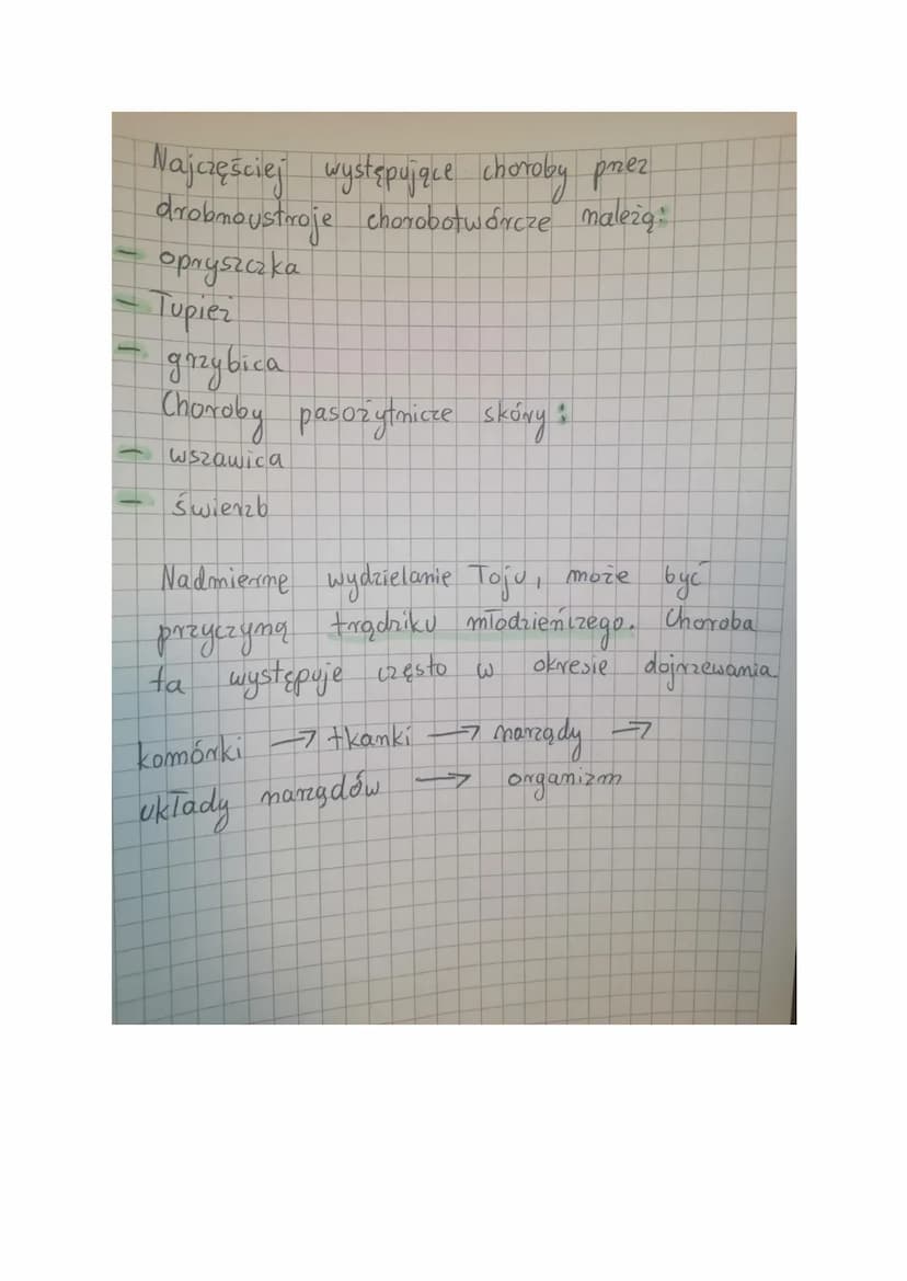 <h2 id="funkcjeskry">Funkcje skóry</h2>
<p>Skóra człowieka pełni wiele ważnych funkcji, które są niezbędne dla prawidłowego funkcjonowania o