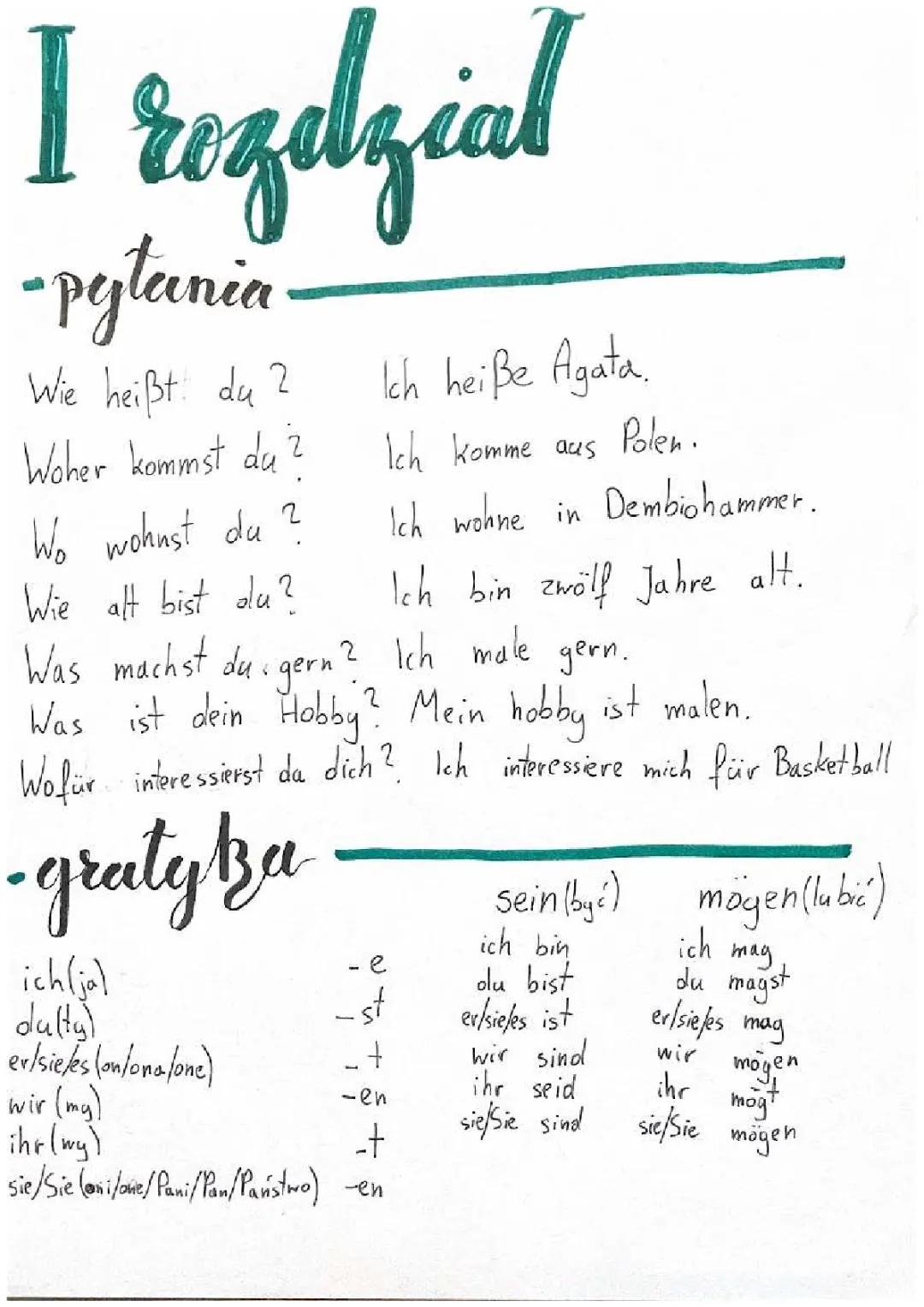 Rozdział 1 „Kontakte” - Notatka i Słownictwo