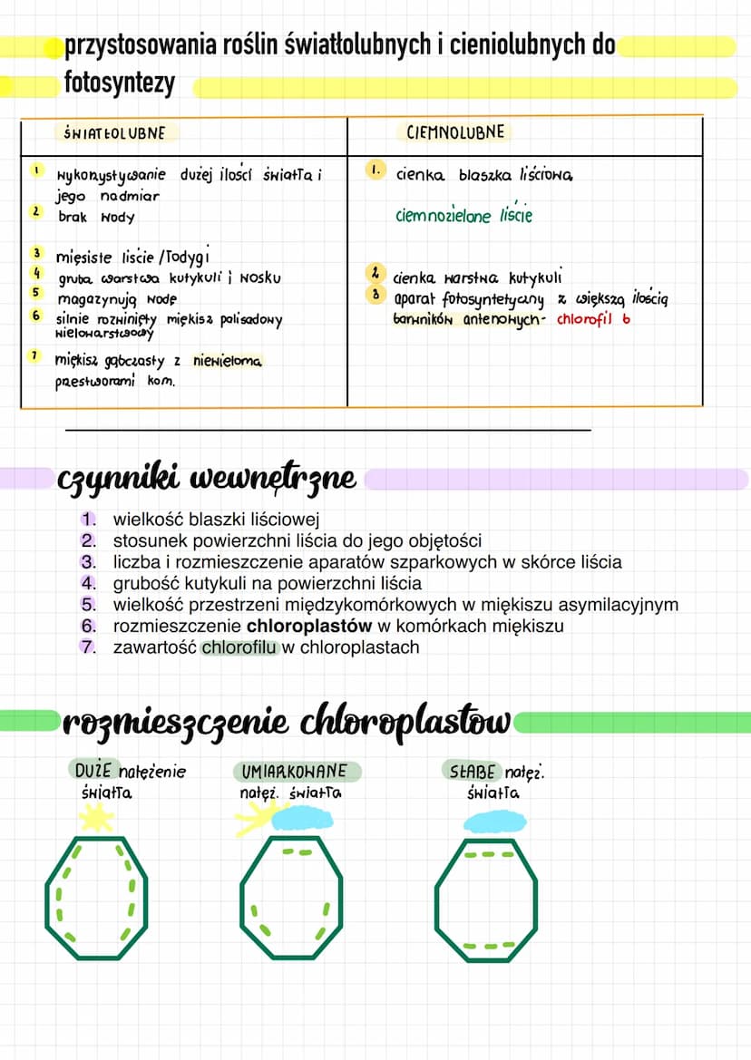 OOOOO
Czynniki wpływające na intensywność
fotosyntezy
zewnętrzne
nateżenie i barwa światla
stężenie co
ilość i dostępność do wody
temperatur