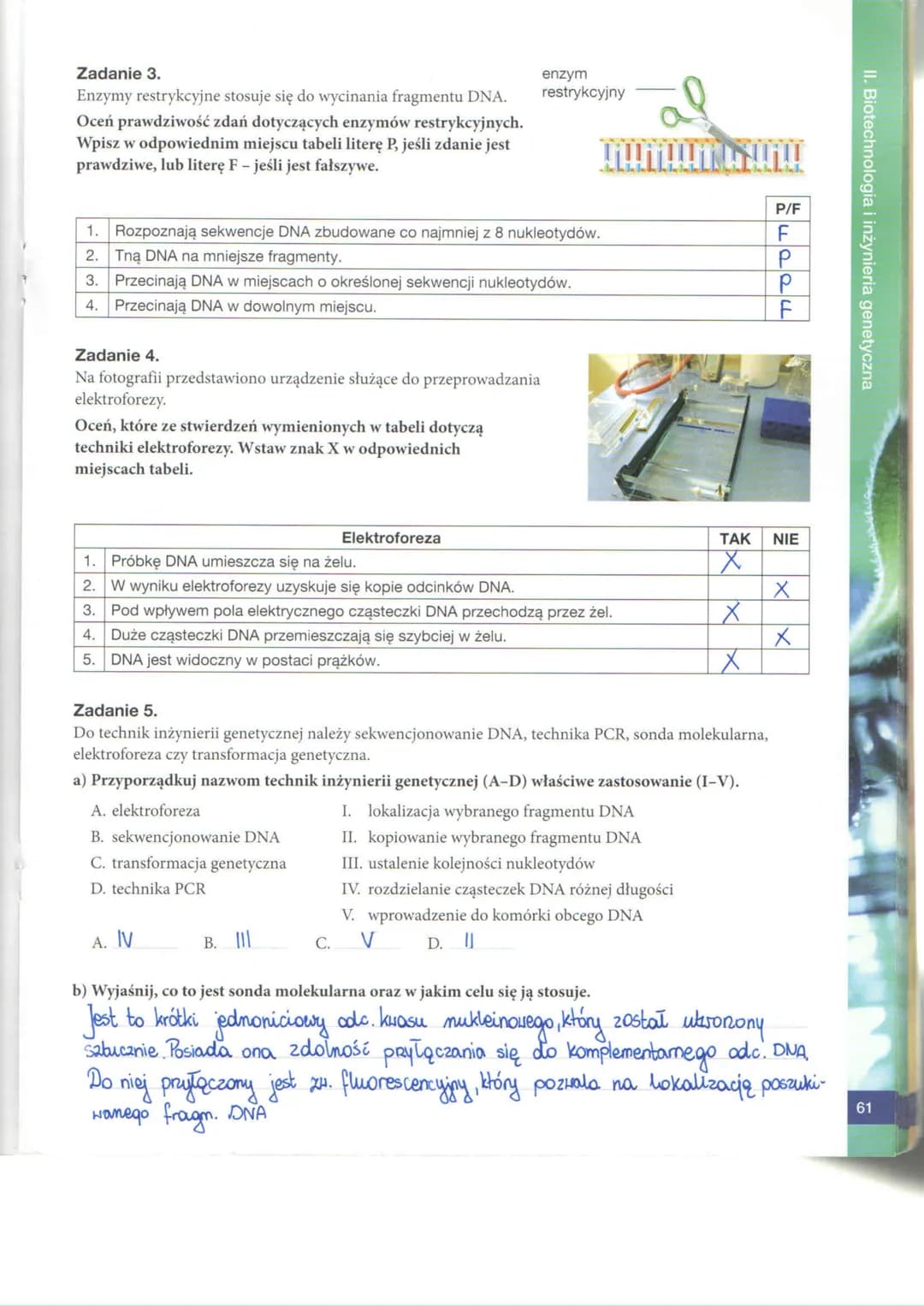 II. Biotechnologia i inżynieria genetyczna
52
BIOTECHNOLOGIA TRADYCYJNA
Zadanie 1.
Biotechnologia jest dynamicznie rozwijającą się dyscyplin
