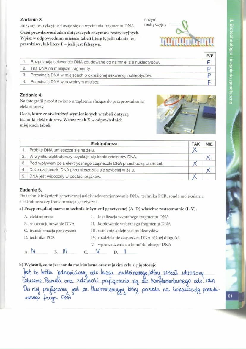 II. Biotechnologia i inżynieria genetyczna
52
BIOTECHNOLOGIA TRADYCYJNA
Zadanie 1.
Biotechnologia jest dynamicznie rozwijającą się dyscyplin